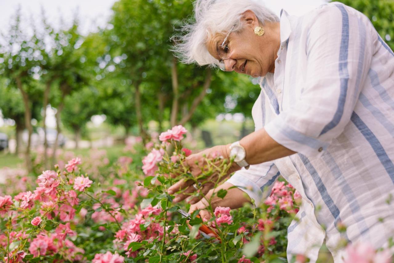 Agriturismo Albafiorita Pensionat Latisana Eksteriør billede